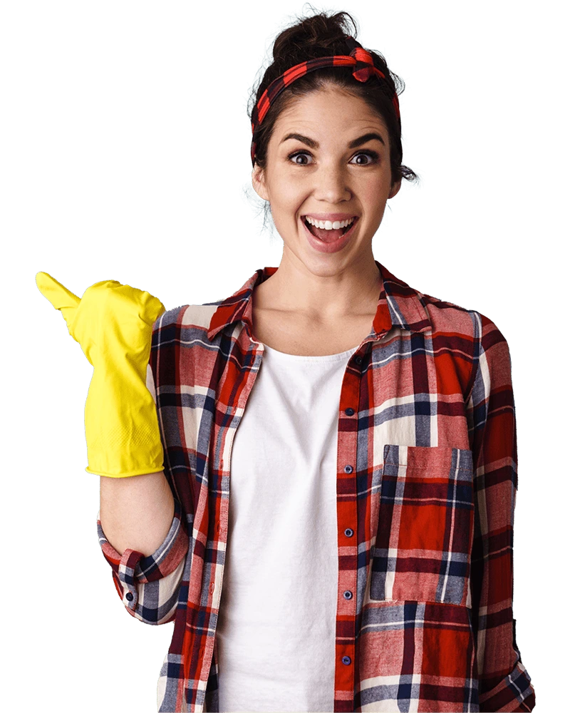 Firma de curatenie testimoniale. Servicii de curatenie , firma de curatenie, curatenie birouri, curatenie la domiciliu, curatenie generala, curatenie scari de bloc, curatenie dupa constructor